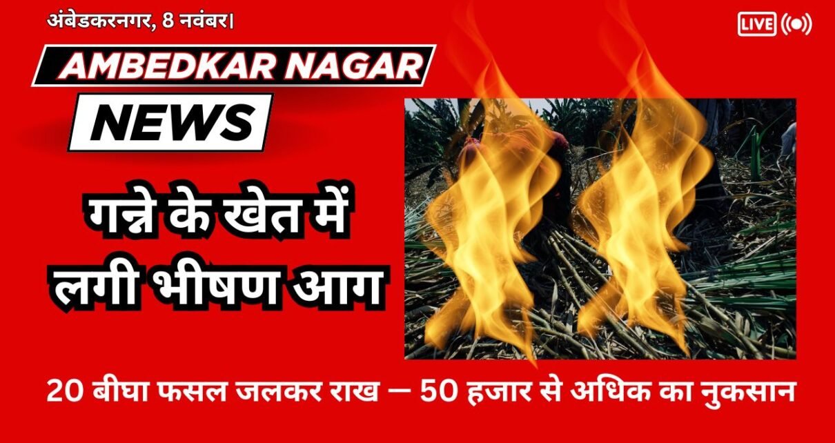 Ambedkar Nagar News A massive fire broke out in a sugarcane field