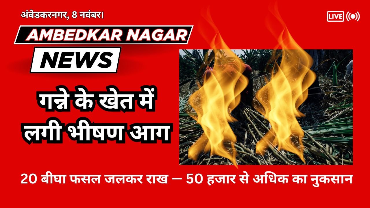 Ambedkar Nagar News A massive fire broke out in a sugarcane field