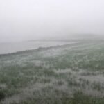 phoolpur canal breach crop damage