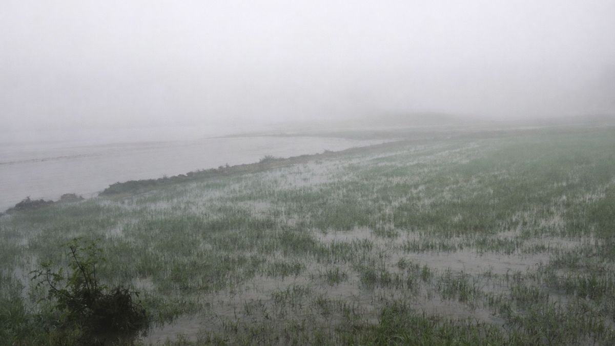 phoolpur canal breach crop damage